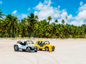 passeio-buggy-maragogi-min